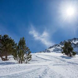 Ordino - Arcalis, Ordino Accommodation Florida