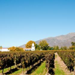 Cafayate Accommodation Florida