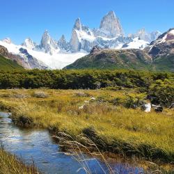 Santa Cruz Accommodation Florida