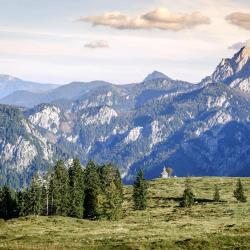 Salzburg Accommodation Florida