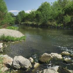 Schwechat Accommodation Florida