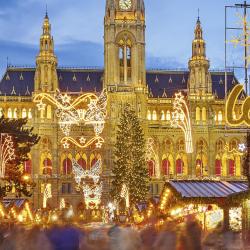Vienna Christmas Market, Vienna Accommodation Florida