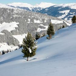 Zillertal Accommodation Florida