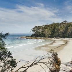 Jervis Bay Accommodation Florida