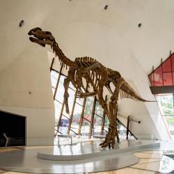 National Museum of Australia, Canberra Accommodation Florida