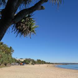 Noosa Accommodation Florida