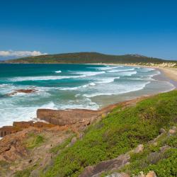 Port Stephens Accommodation Florida