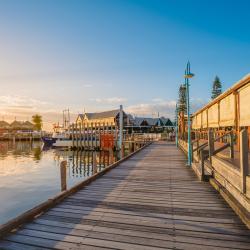 Western Australia Accommodation Florida