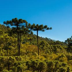 Parana Accommodation Florida