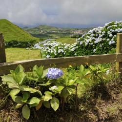 Serra Gaucha Accommodation Florida