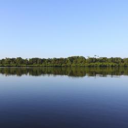 Amazonas Accommodation Florida