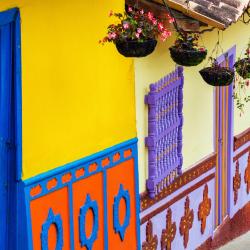 Antioquia Accommodation Florida