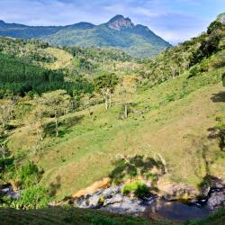 Nariño Accommodation Florida