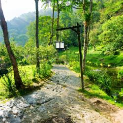 Risaralda Accommodation Florida