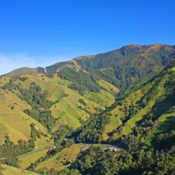 Valle del Cauca Accommodation Florida