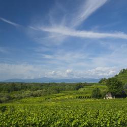 Baden-Württemberg Accommodation Florida