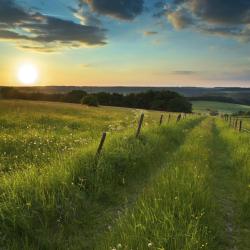 Eifel Accommodation Florida