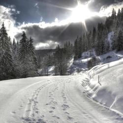 Feldberg Accommodation Florida