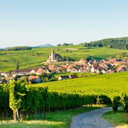 Alsace Accommodation Florida