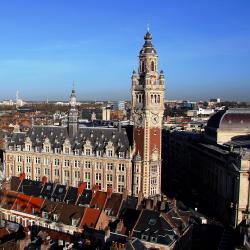 Lille Accommodation Florida