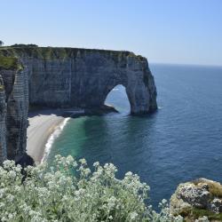 Normandy Accommodation Florida