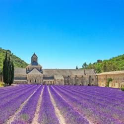 Provence Accommodation Florida
