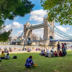 London Accommodation Florida
