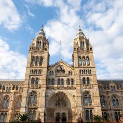 Natural History Museum, London Accommodation Florida