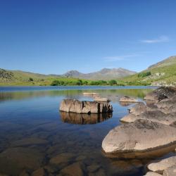Snowdonia Accommodation Florida