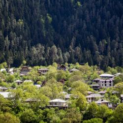 Borjomi Accommodation Florida