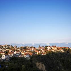 Kakheti Accommodation Florida