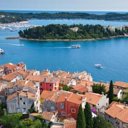 Dalmatia Accommodation Florida