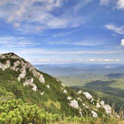 Gorski kotar Accommodation Florida