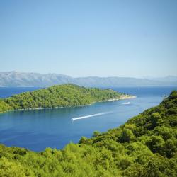 Mljet Island Accommodation Florida