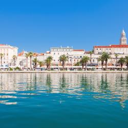 Split Accommodation Florida