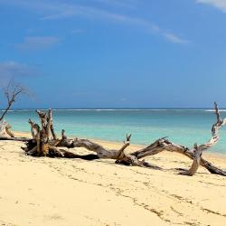 Gili Trawangan Accommodation Florida