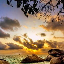 Pulau Bintan Accommodation Florida