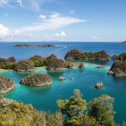 Raja Ampat Accommodation Florida