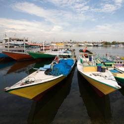 South Sulawesi Accommodation Florida