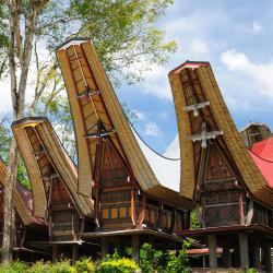 Sulawesi Accommodation Florida