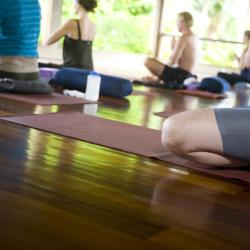 The Yoga Barn, Ubud Accommodation Florida