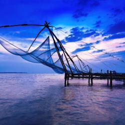 Cochin Accommodation Florida