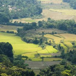 Coorg Accommodation Florida