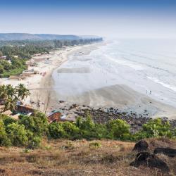 Goa Accommodation Florida
