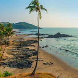 North Goa Accommodation Florida