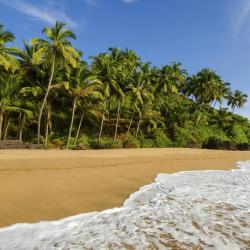 South Goa Accommodation Florida