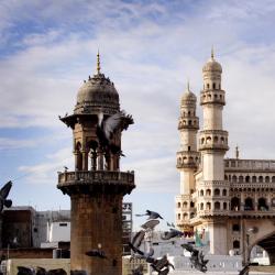 Telangana Accommodation Florida