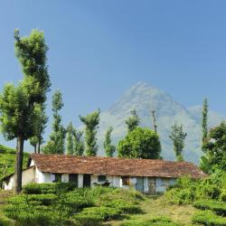 Wayanad Accommodation Florida