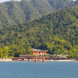 Aichi Accommodation Florida