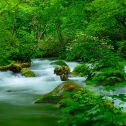 Aomori Accommodation Florida